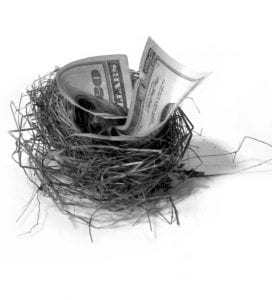 bird's nest stuffed with money