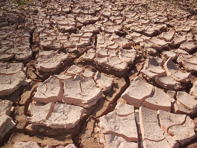 dry and cracked soil