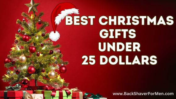 best christmas gifts under 25 dollars